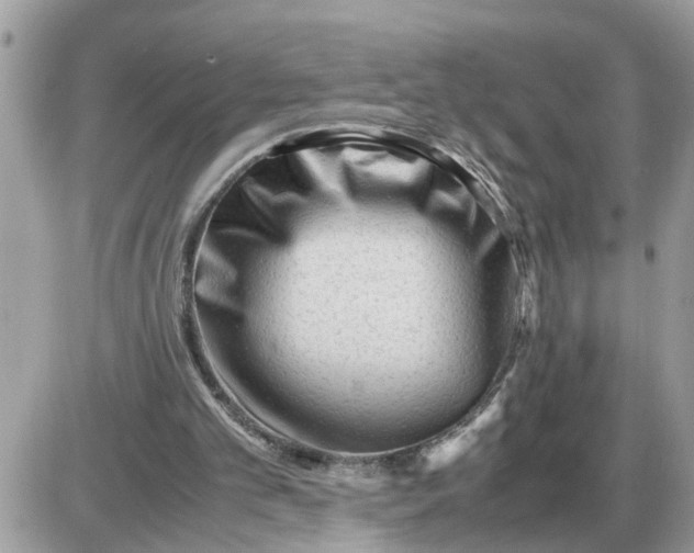 X0000087400101200705042045