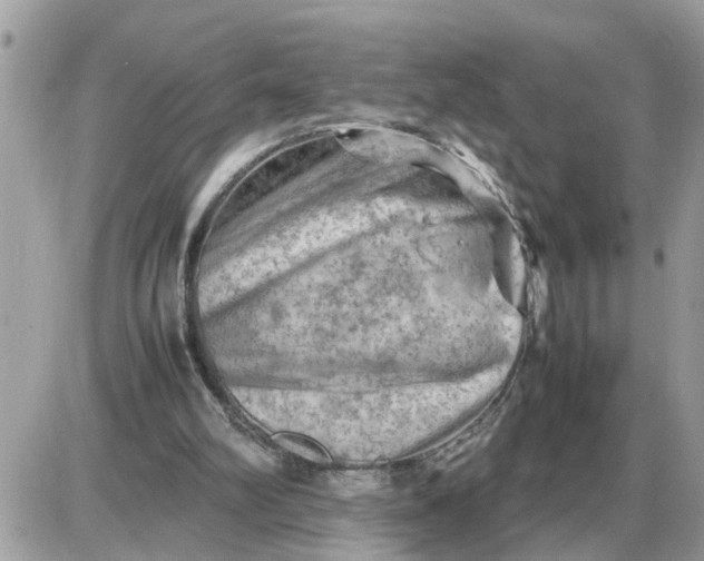 X0000087400102200705042045