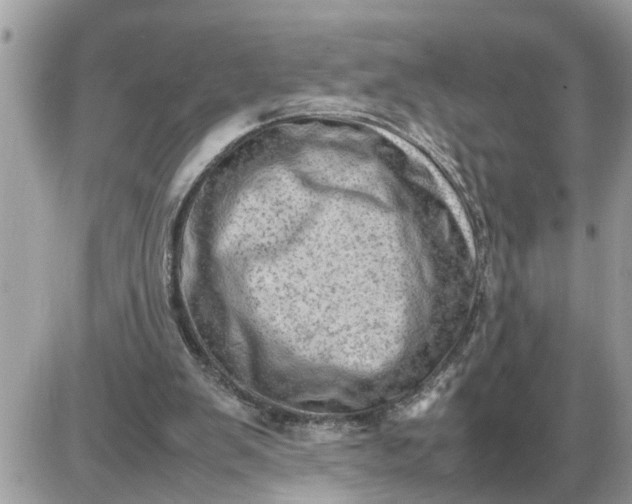 X0000087400103200705042045