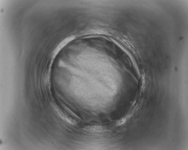 X0000087400104200705042045