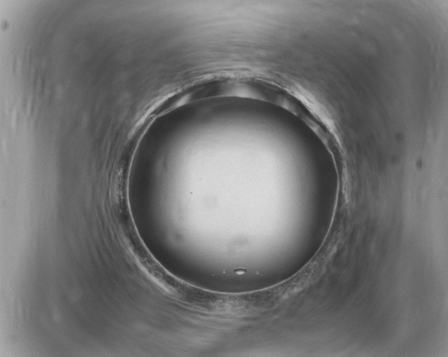 X0000087400105200705042045