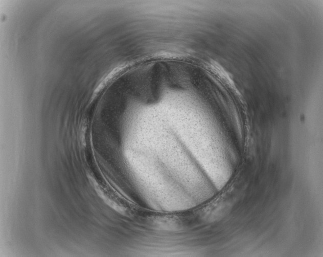 X0000087400106200705042045