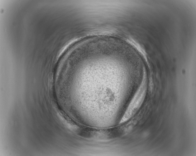 X0000087400107200705042045