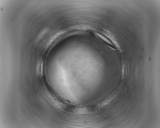 X0000087400110200705042045