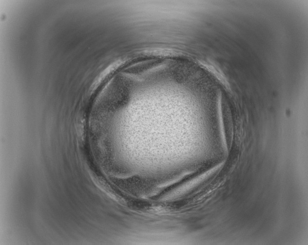 X0000087400111200705042045