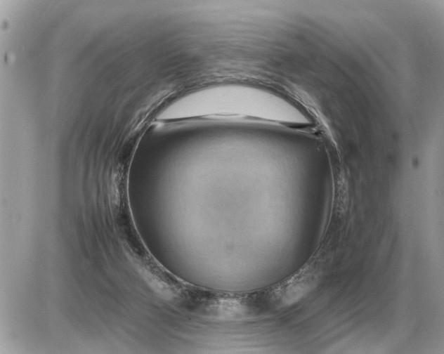 X0000087400114200705042045