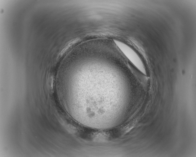 X0000087400115200705042045