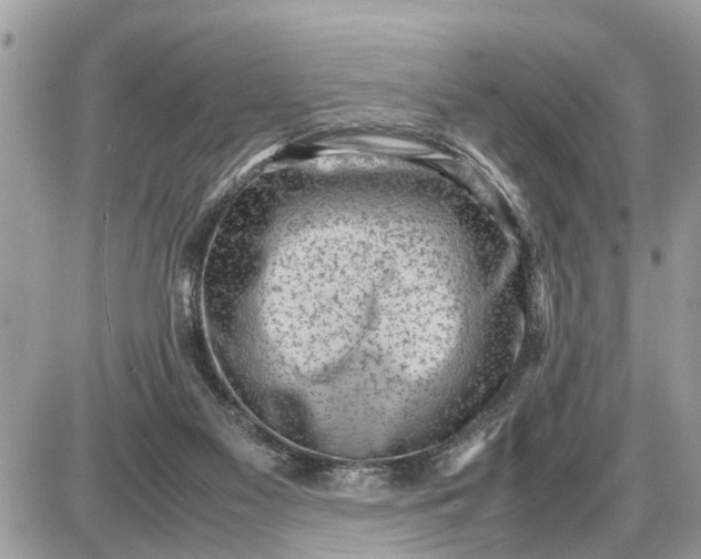 X0000087400117200705042045