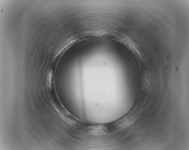 X0000087400118200705042045