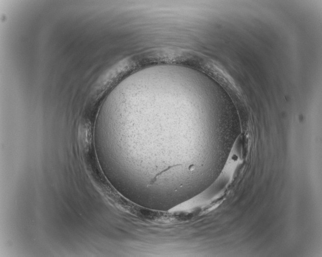 X0000087400119200705042045