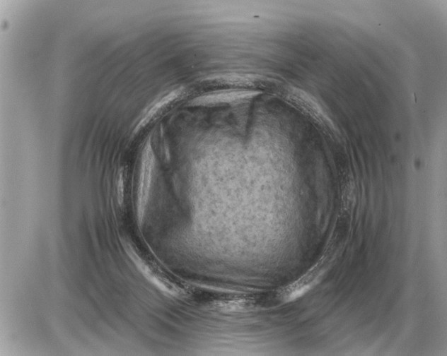 X0000087400120200705042045