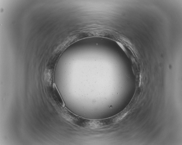 X0000087400121200705042045