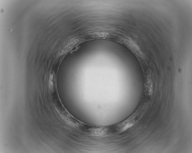 X0000087400122200705042045