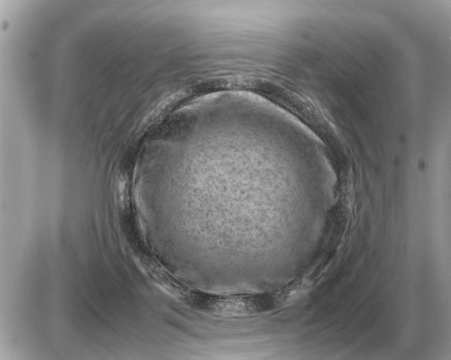 X0000087400123200705042045