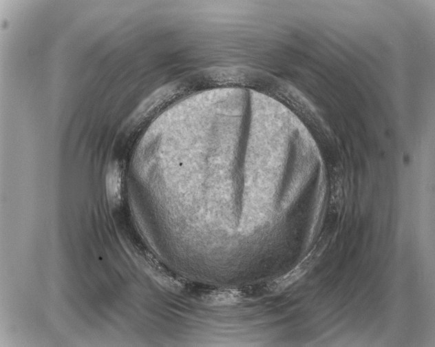 X0000087400124200705042045