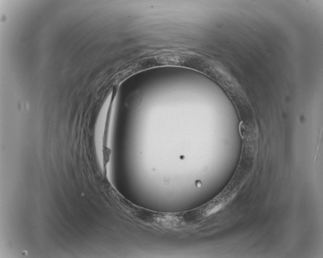 X0000087400125200705042045