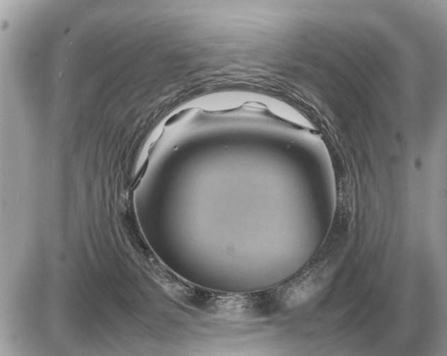 X0000087400127200705042045