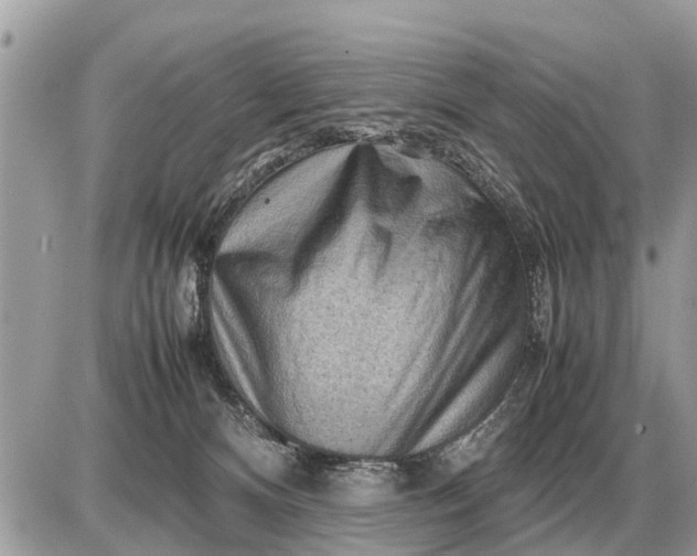 X0000087400128200705042045