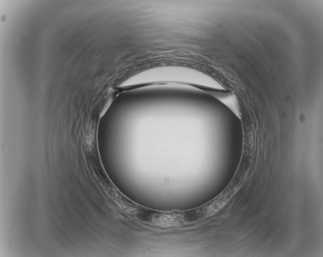 X0000087400129200705042045