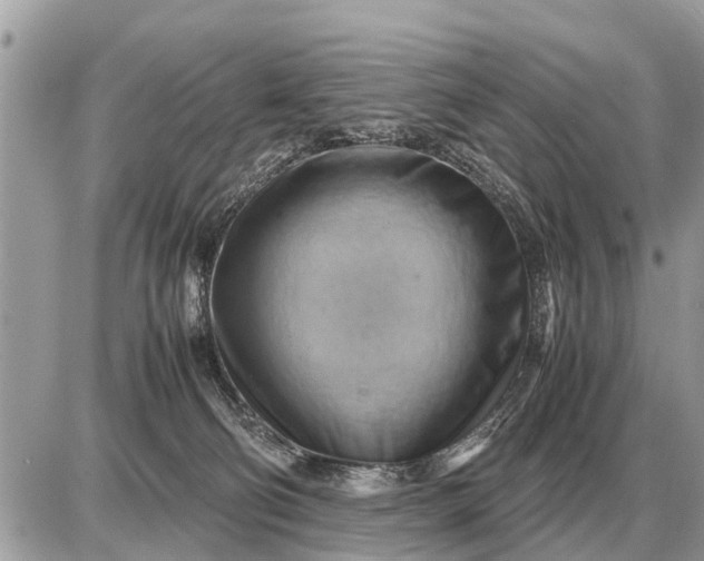 X0000087400130200705042045