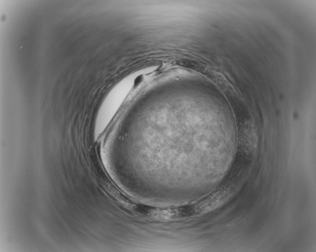 X0000087400131200705042045