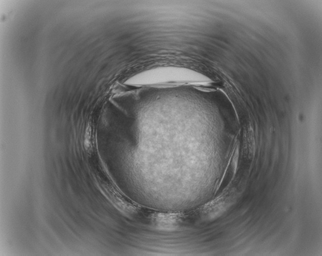 X0000087400134200705042045