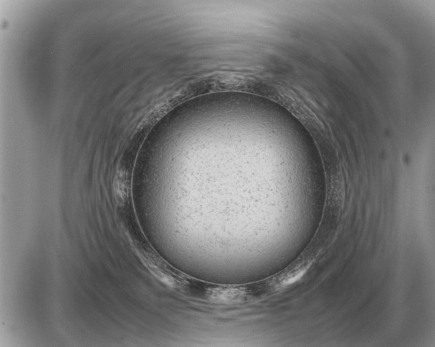 X0000087400135200705042045