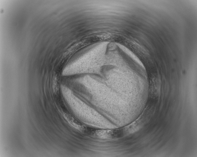 X0000087400136200705042045