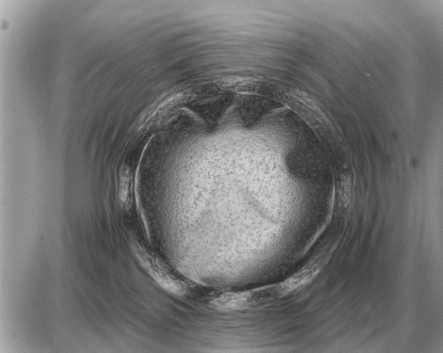 X0000087400138200705042045