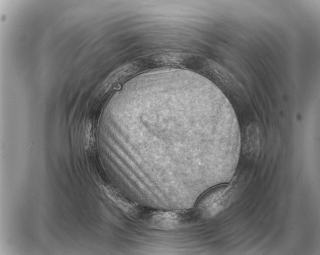 X0000087400140200705042045