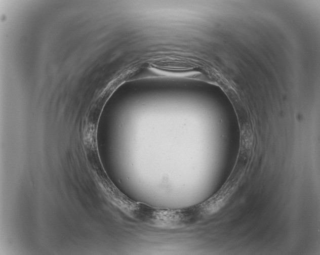 X0000087400141200705042045