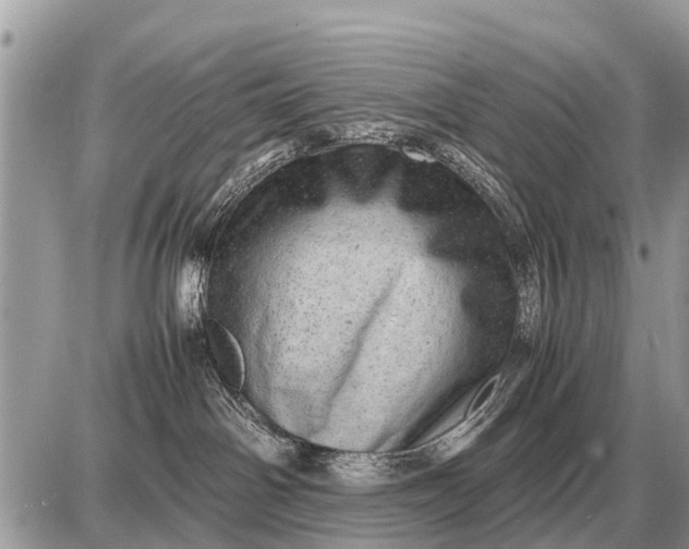 X0000087400142200705042045