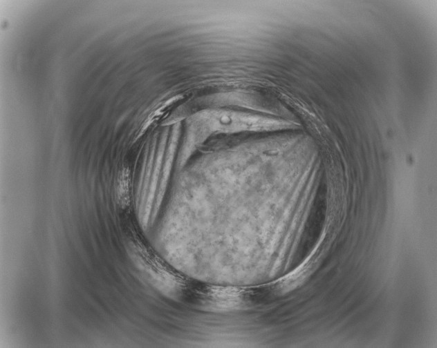 X0000087400144200705042045