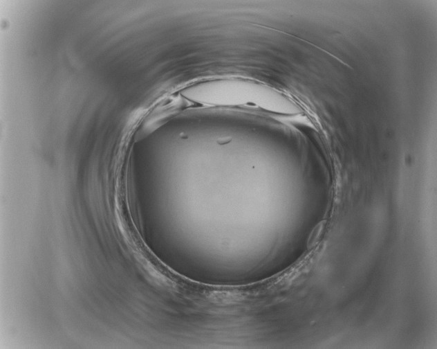 X0000087400145200705042044