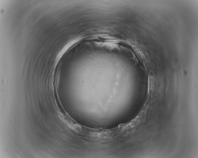 X0000087400147200705042044