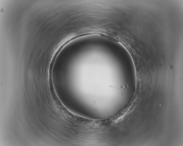 X0000087400148200705042044