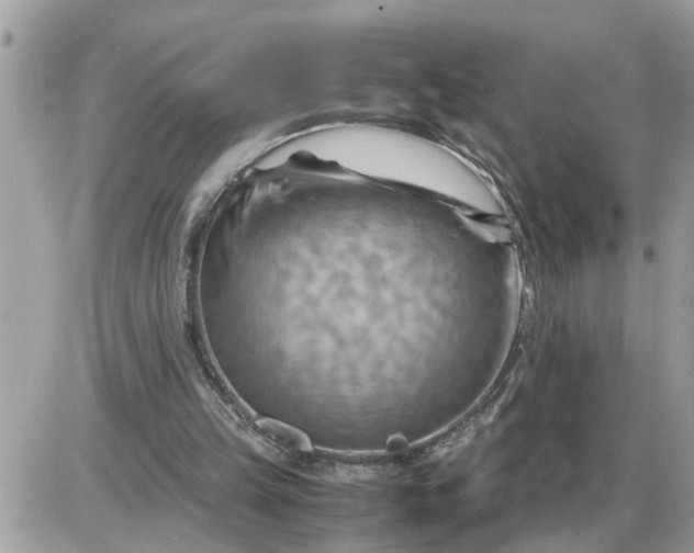 X0000087400149200705042044