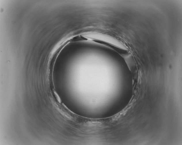 X0000087400150200705042044