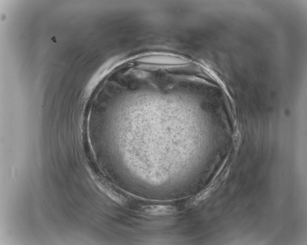 X0000087400151200705042044