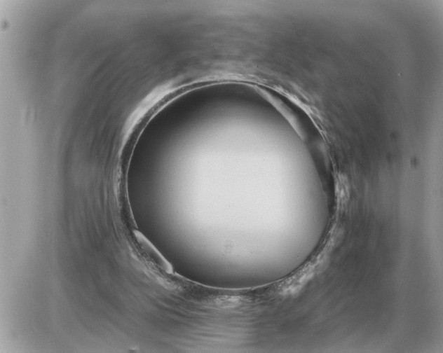 X0000087400152200705042044