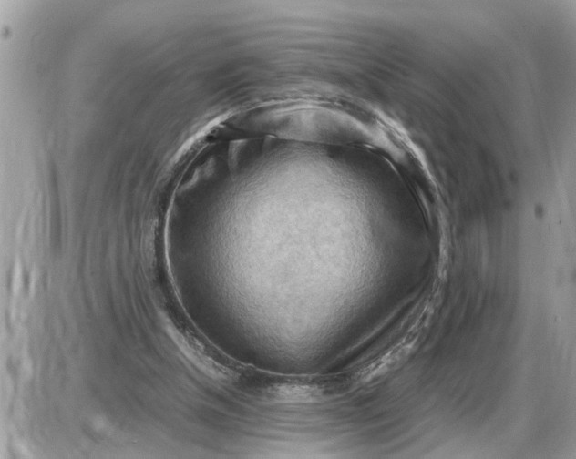 X0000087400154200705042044