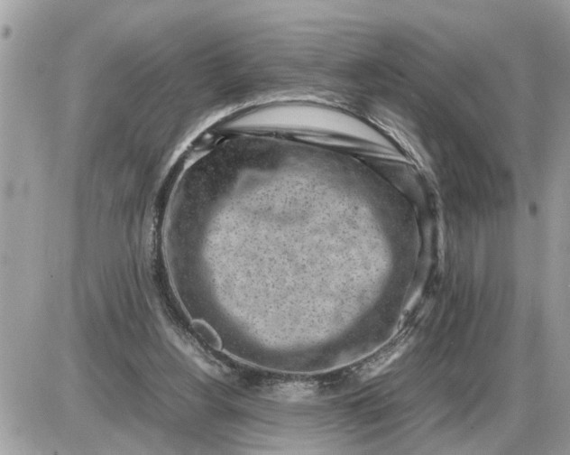 X0000087400156200705042044