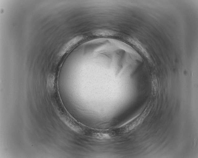 X0000087400159200705042044