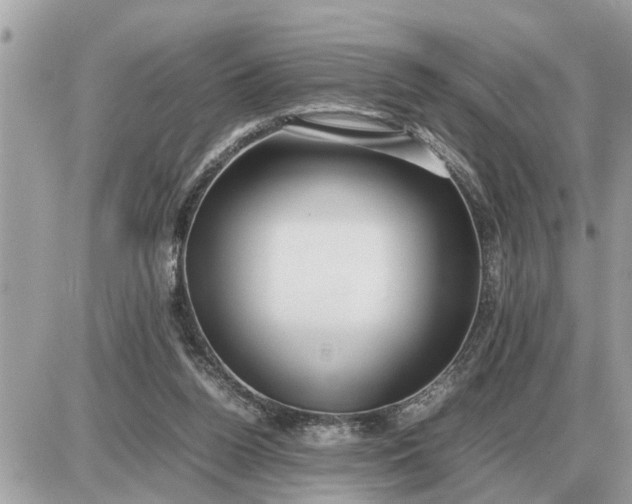 X0000087400160200705042044