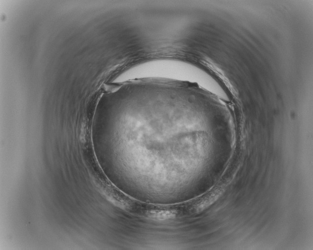 X0000087400161200705042044