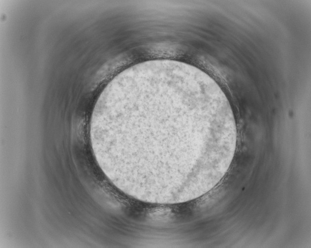 X0000087400162200705042044