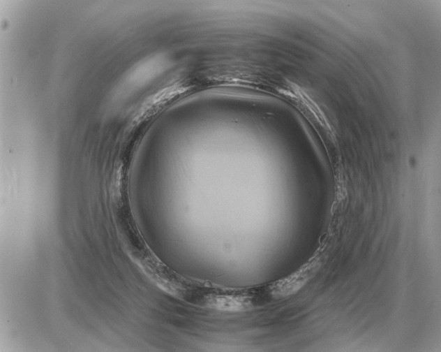 X0000087400163200705042044