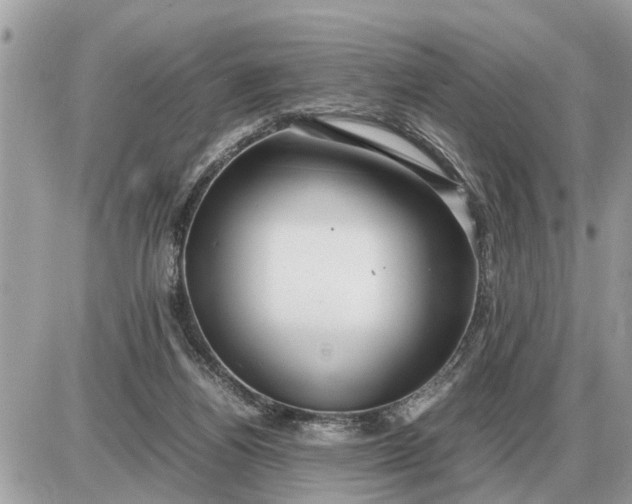 X0000087400164200705042044