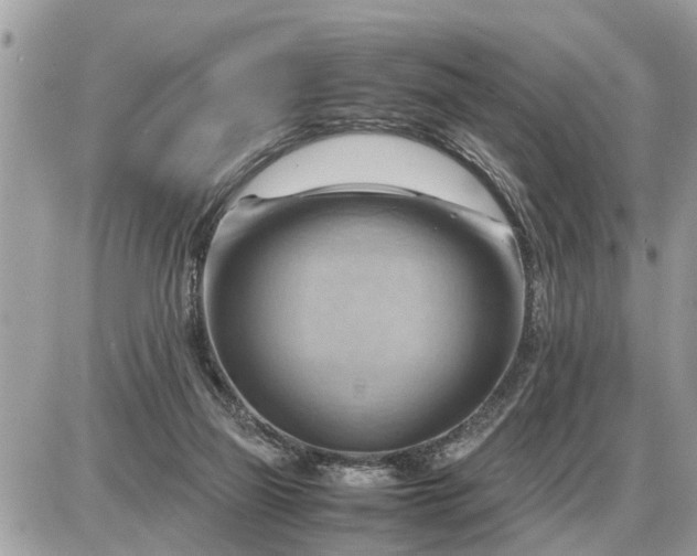 X0000087400165200705042044