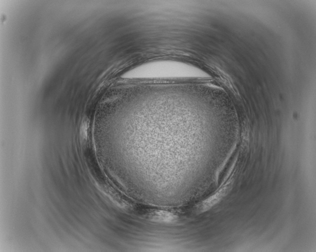 X0000087400166200705042044